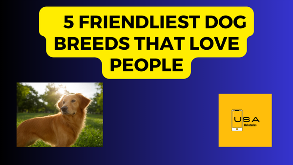 5 Friendliest Dog Breeds that Love People